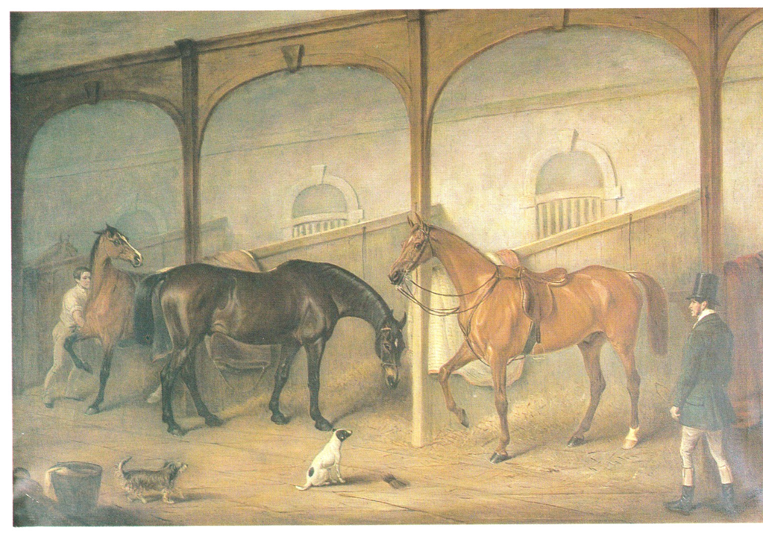 HORSE PAINTINGS: A Book of 30 Postcards By Pavilion Books, Famous Artists