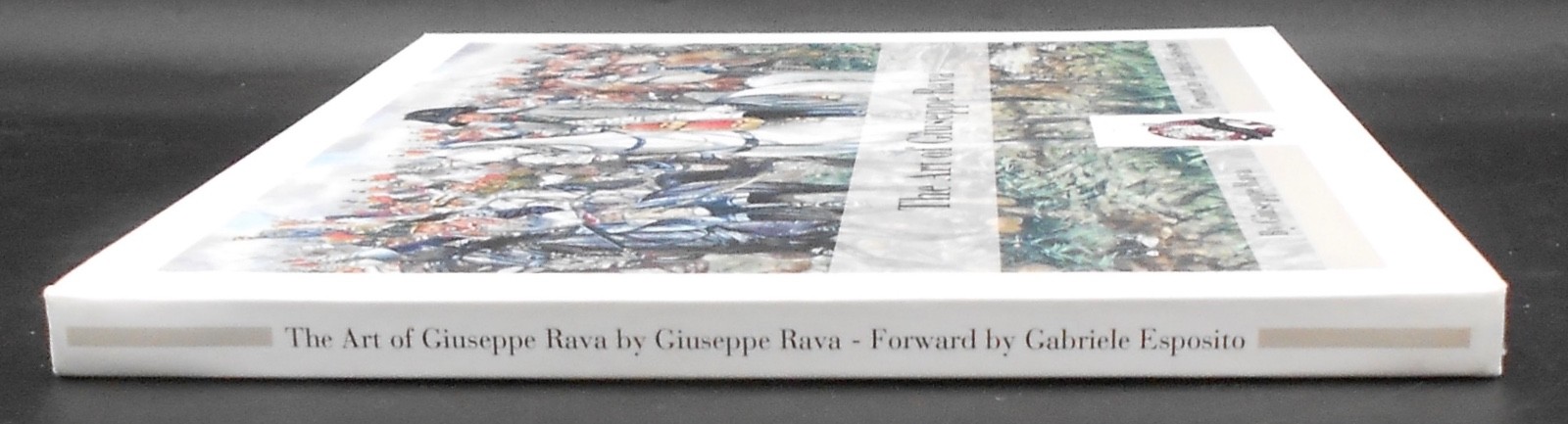 ART OF GIUSEPPE RAVA 2016 1ST EDITION HC VG, ALMOST 200 MILITARY HISTORY ILLUSTR