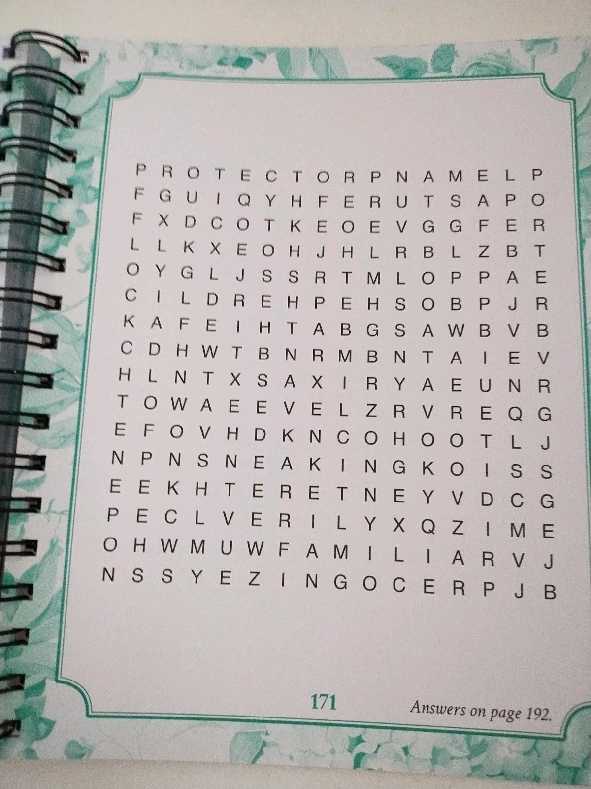 Bible Word Search: The Words of Jesus Large Print Christian Religion Religious