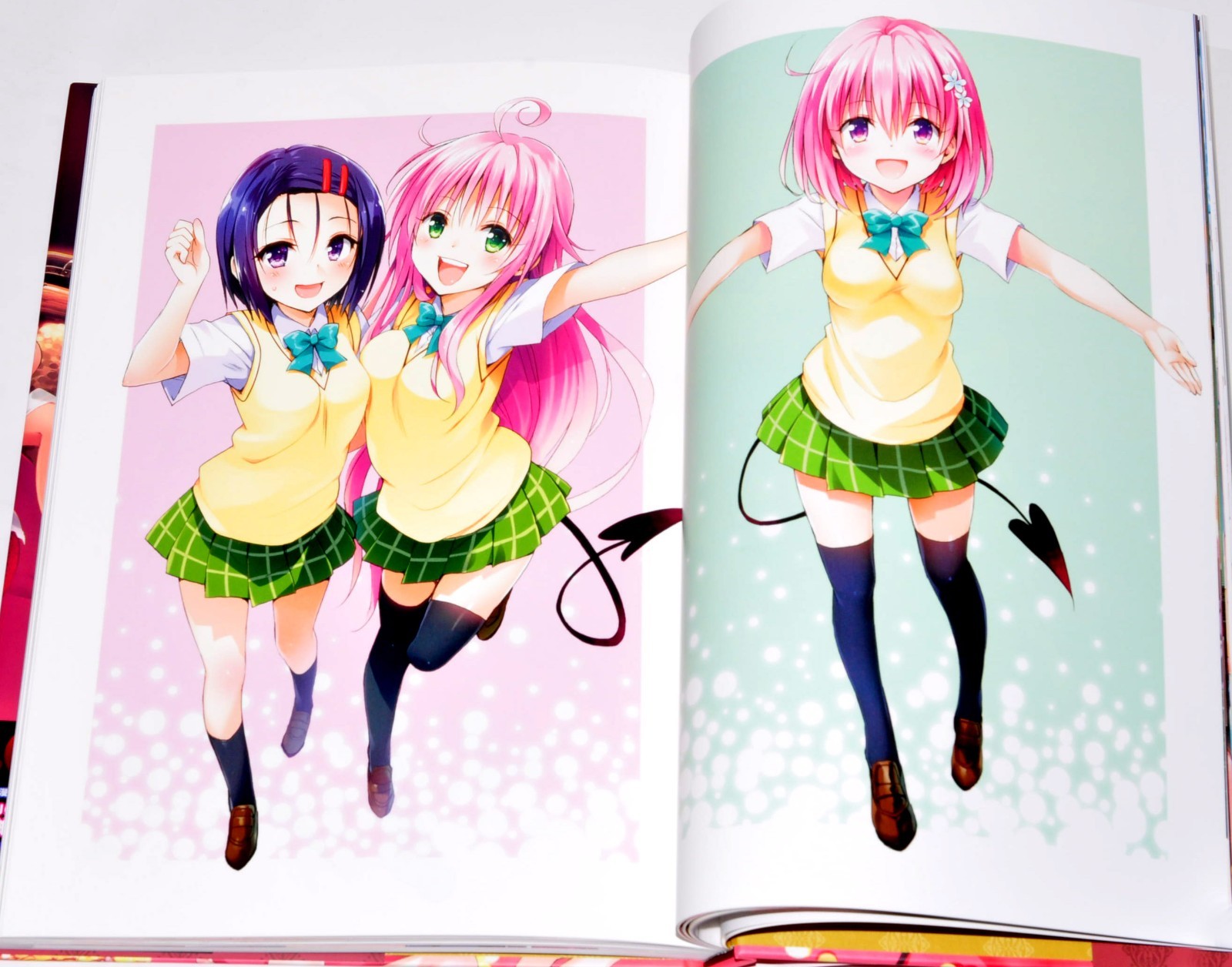 To Love-Ru Darkness Harem Gold Art Book Illustrations + Case 10th anniversary JP