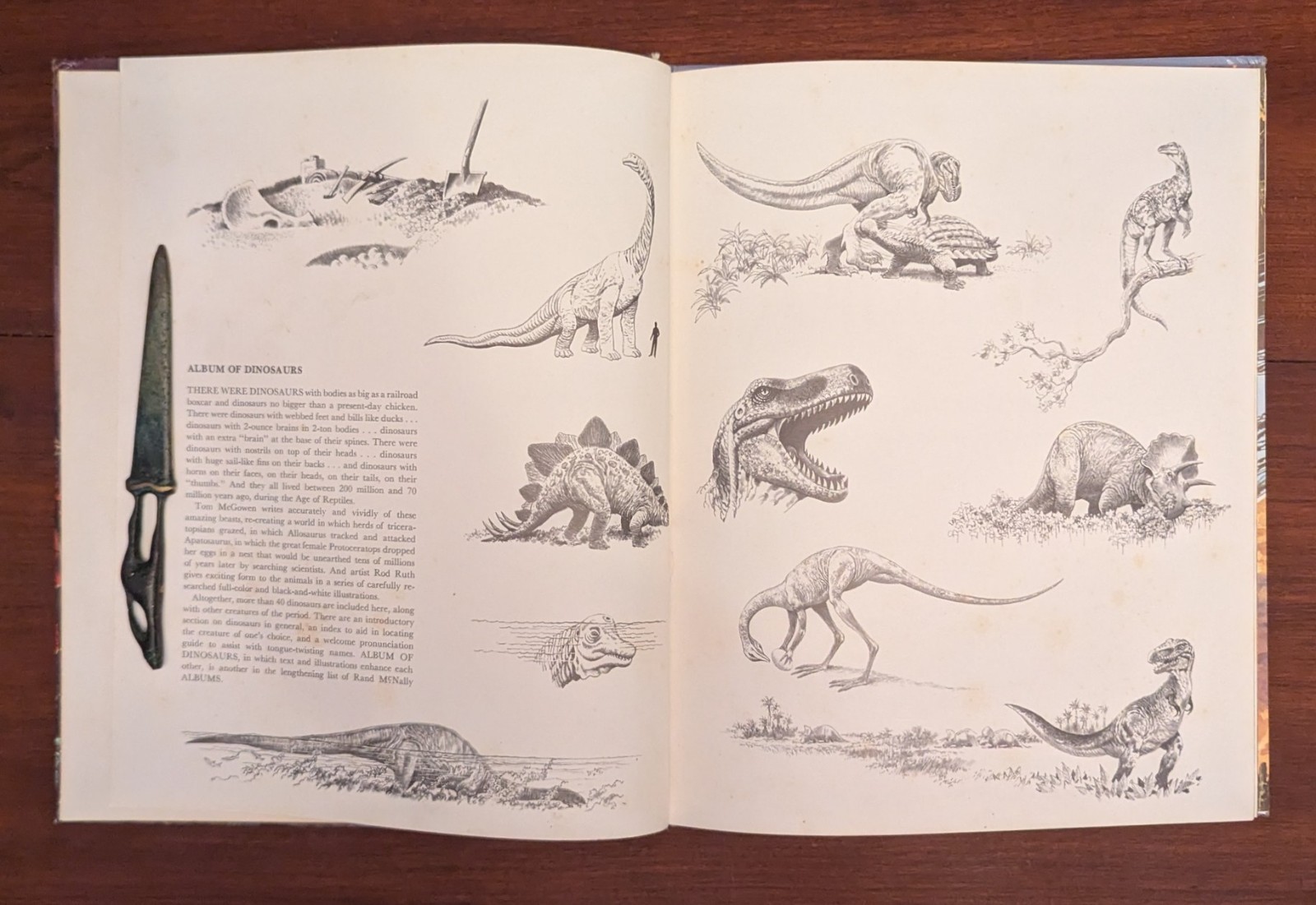 Album Of Dinosaurs Vintage Children’s Hardcover Tom McGowen Rand McNally 1976