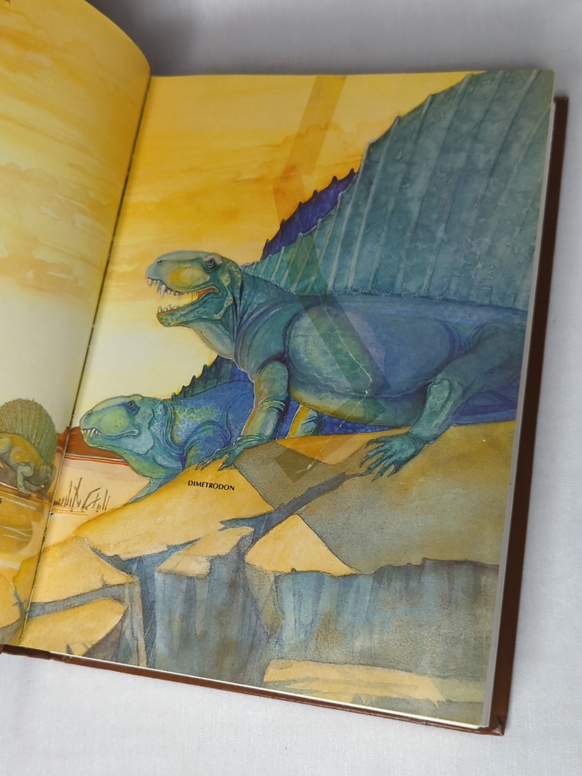 Illustrated Dinosaur Dictionary by Helen R. Sattler 1983, Hardcover