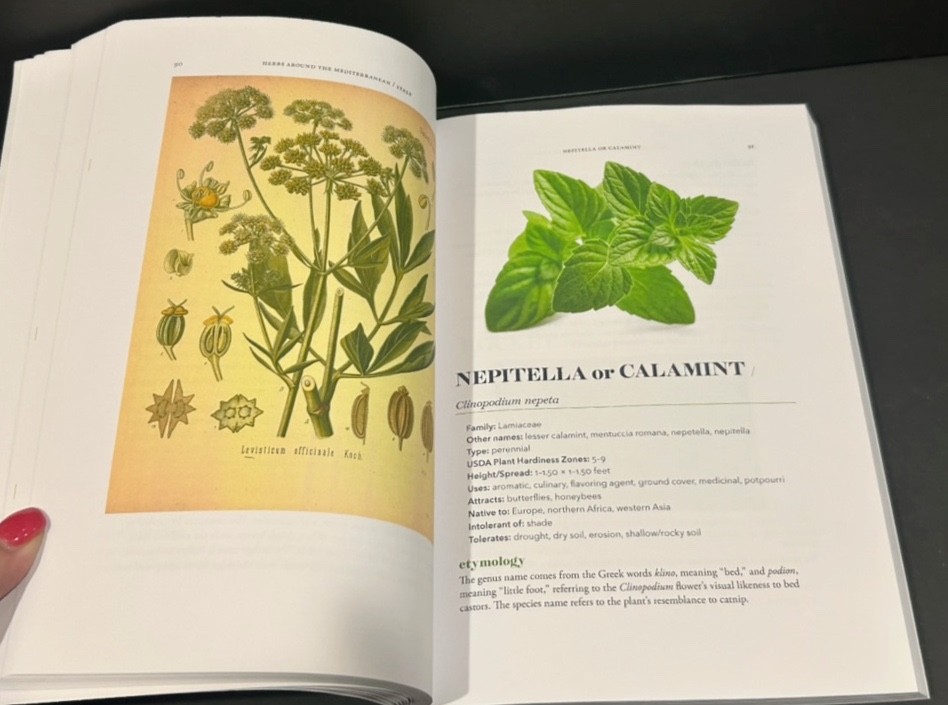 Herbs Around The Mediterranean by St. Louis Herb Society Signed 2023 Paperback