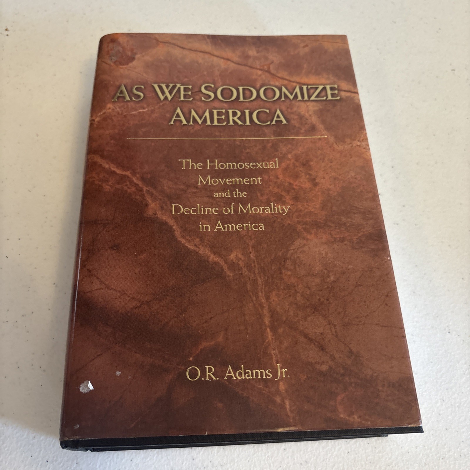 As We Sodomize America : The Homosexual Movement and the Decline of Morality in