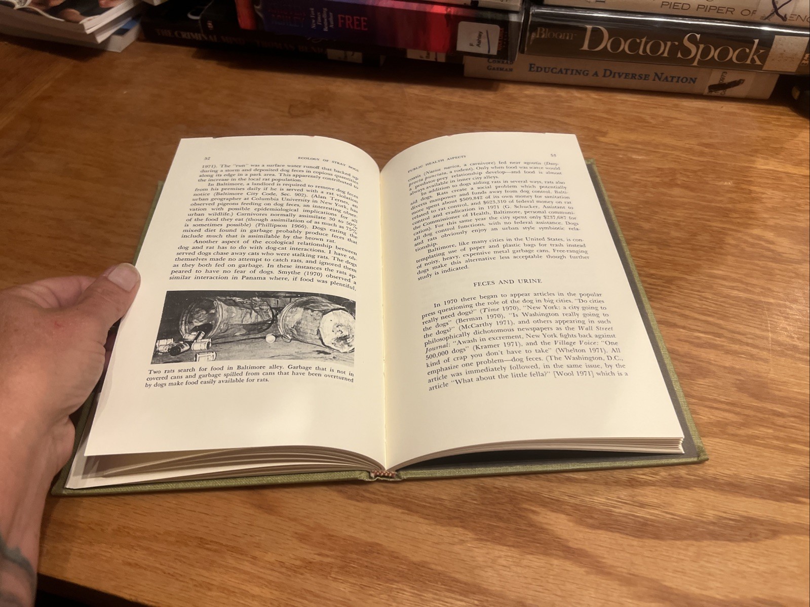 The Ecology of Stray Dogs: Study of Free-Ranging Urban Animals by Beck 1973 HC