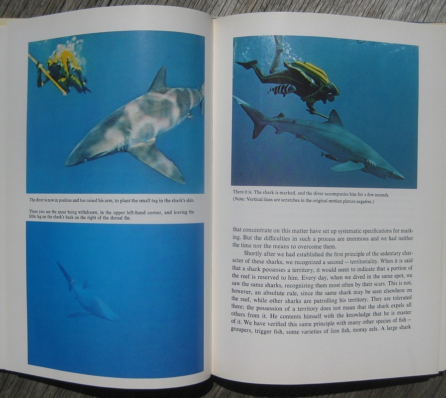 1970 SHARKS Personally Signed by JACQUES COUSTEAU & PHILIPPE COUSTEAU Ocean JAWS
