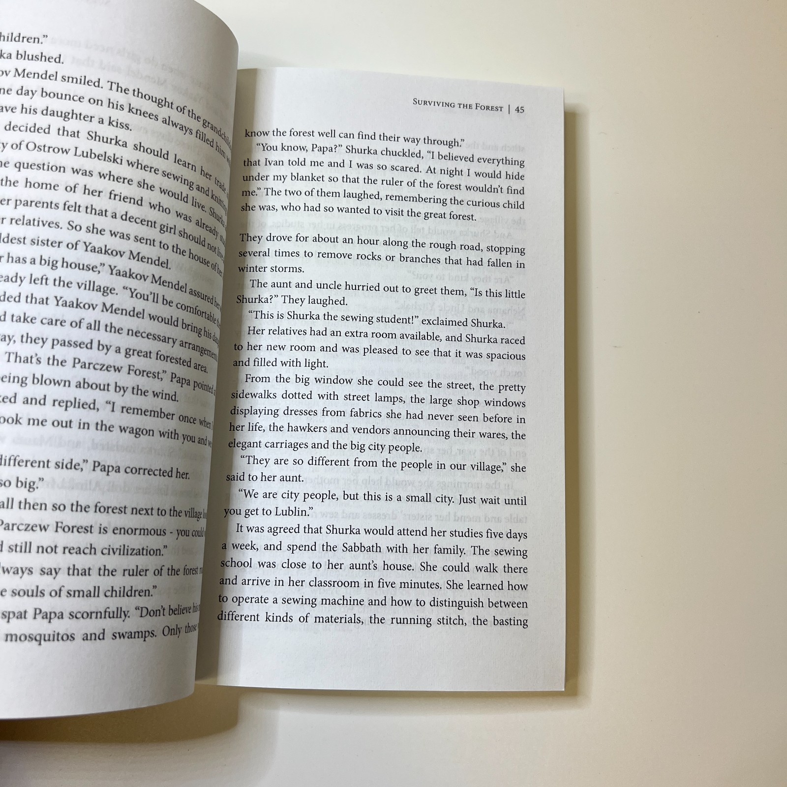 Surviving The Forest (A WW2 Historical Novel) by Adiva Geffen