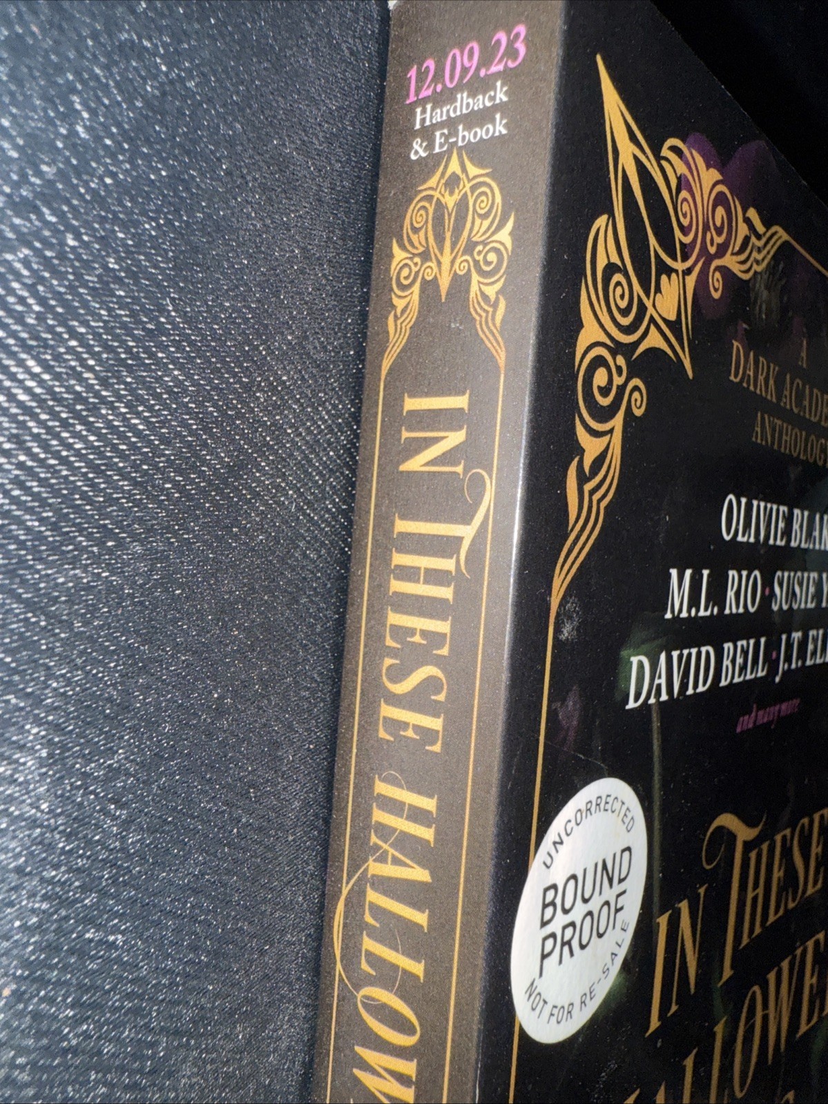In These Hallowed Halls: A Dark Academia Anthology by M. L. Rio