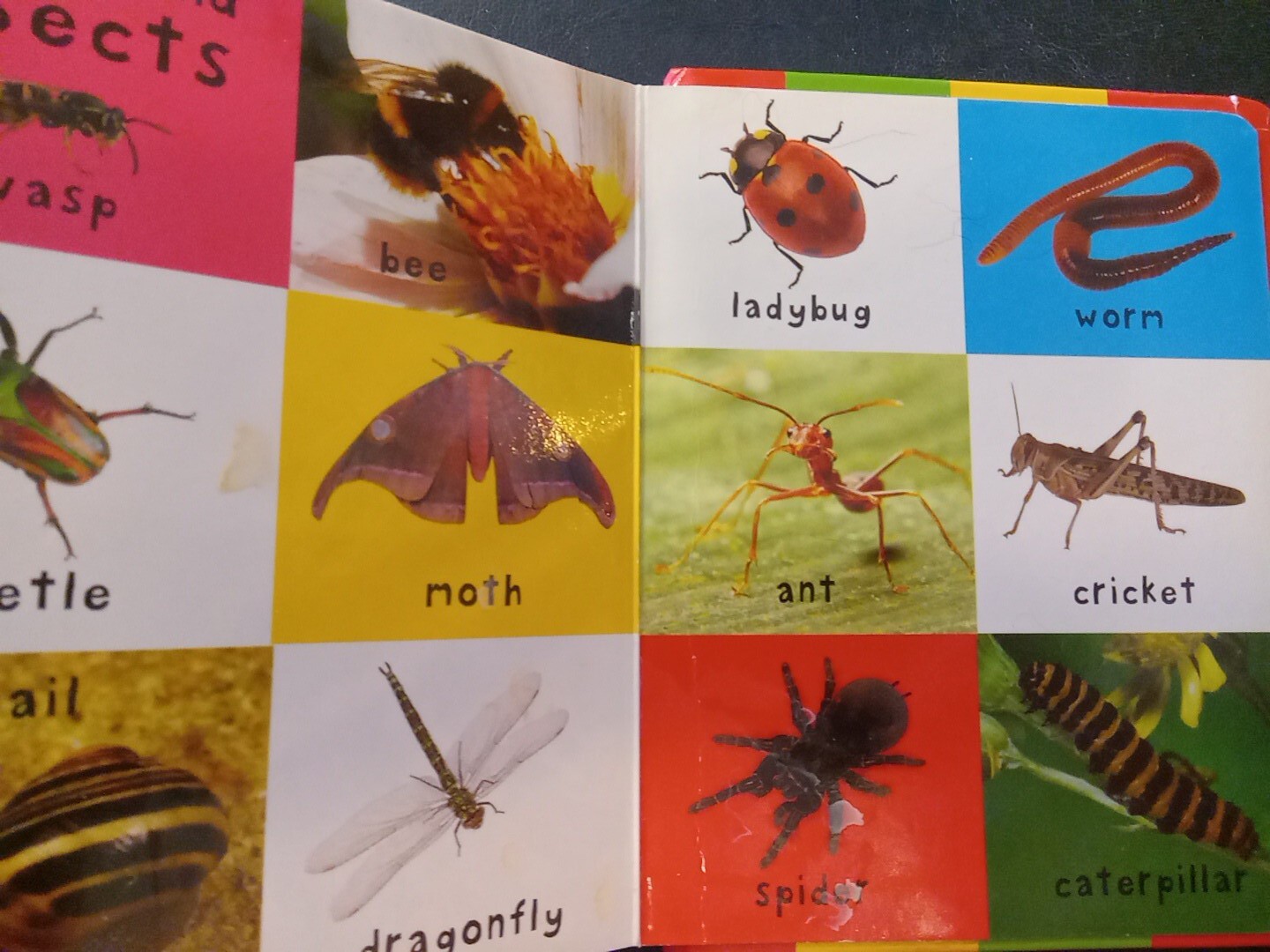 First 100 Animals Board book Pre-owned Inside Spine Damage