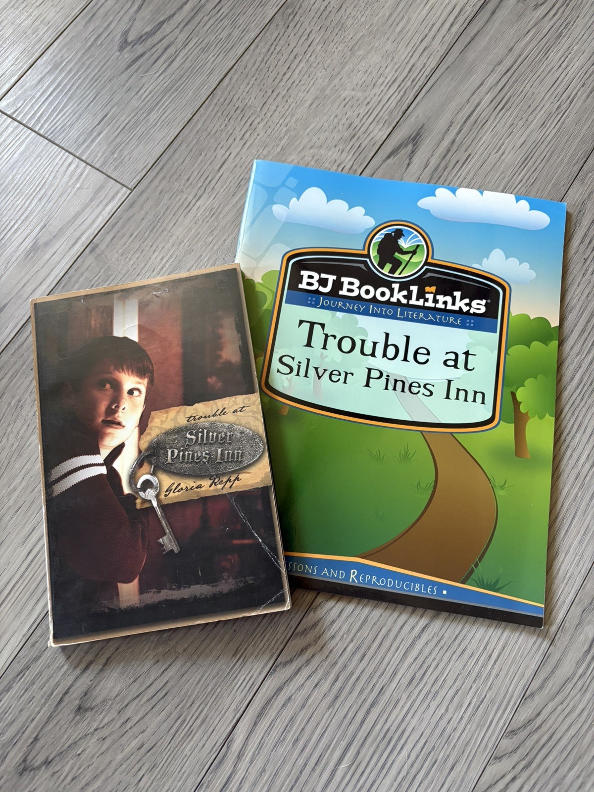 Reading 6 BJ BookLinks : Trouble at Silver Pines Inn
