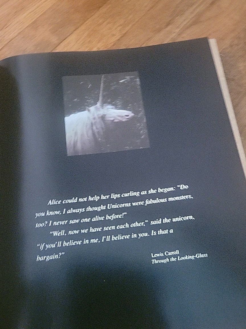 Unicorns I Have Known by Robert Vavra 1983