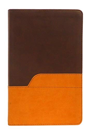 NIV LARGE PRINT HOLY BIBLE **BRAND NEW**