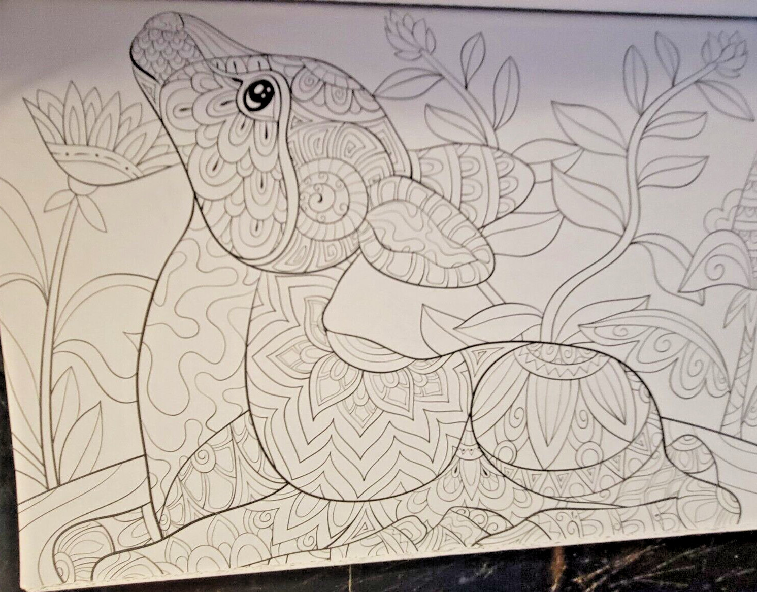 COLORS OF THE WILD Vol. 23 Adult Coloring Book With 47 Prints Ready To Frame!