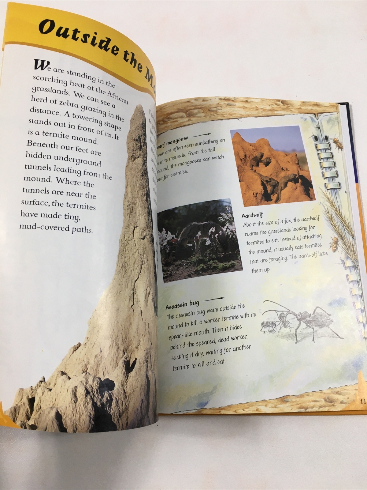 Through a Termite City – Carole Telford (Hardcover, 1998) Amazing Journeys Ser.