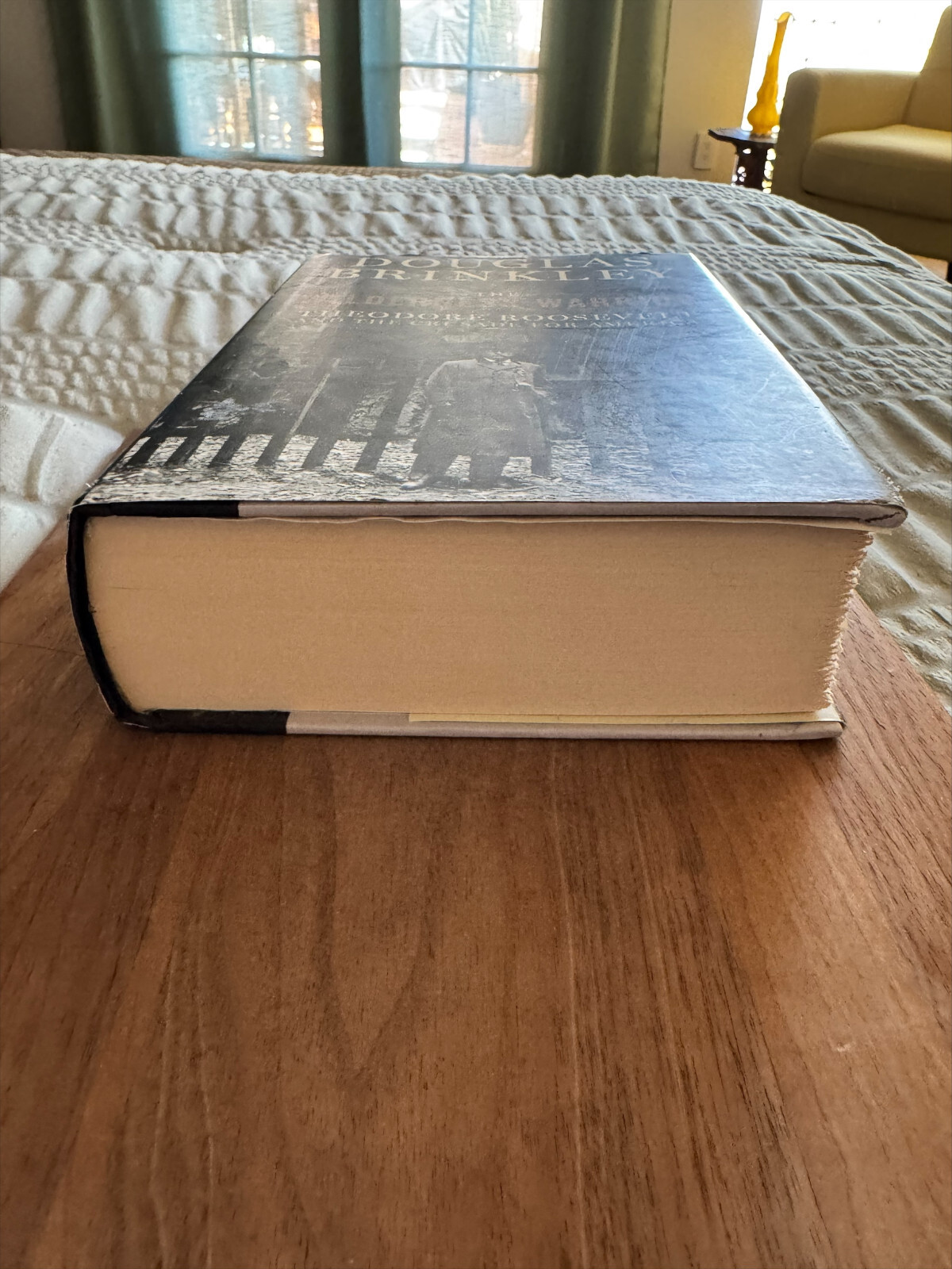 The Wilderness Warrior Theodore Roosevelt Biography By Douglas Brinkley HC