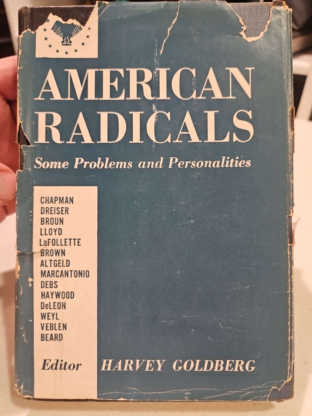 Literature Essays Ideas Book Lot Anita Shreve American Radicals Spanish 4pc