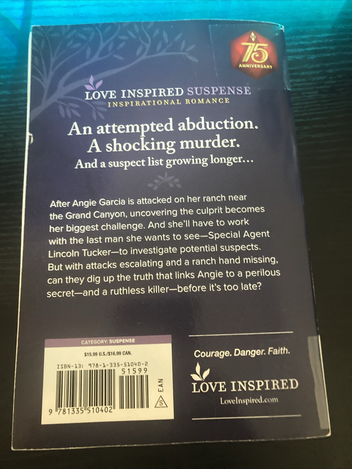 Hidden in the Canyon by Jodie Bailey (2024, Trade Paperback)