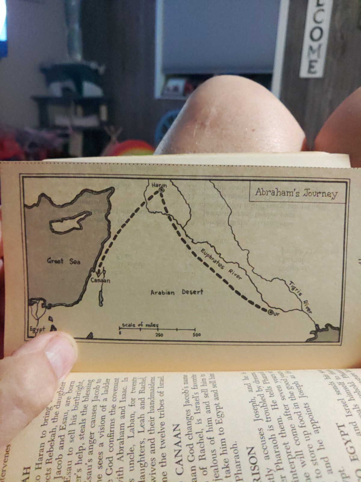 1963 BIBLE HISTORY VISUALIZED Ray Baughman Moody Press Paperback