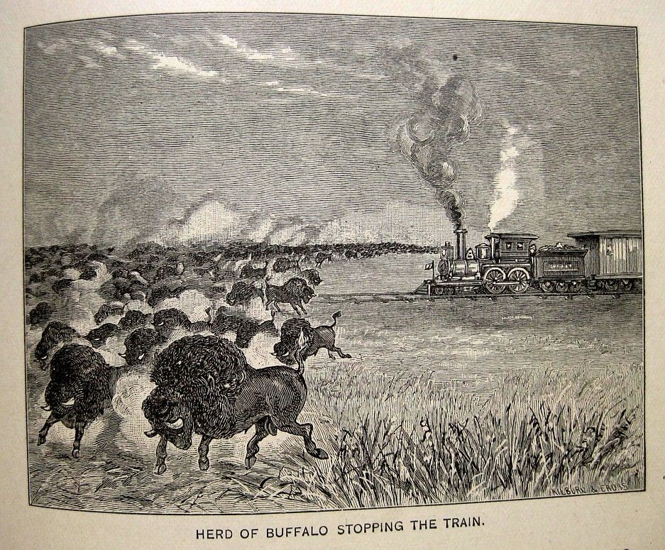 1891 OLD WEST PIONEER GUIDE CALIFORNIA NEVADA COLORADO RANCH MINING RAILROAD