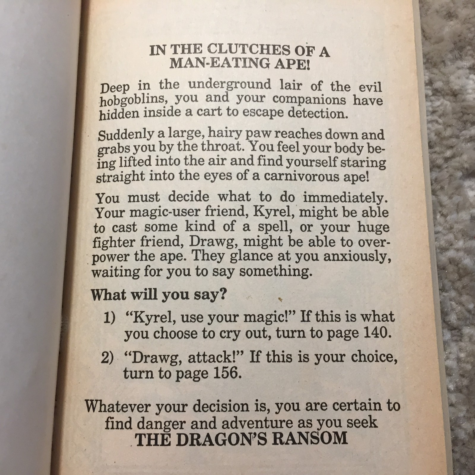 The Dragon’s Ransom Laura French Endless Quest #16 1984 TSR Dungeons And Dragons