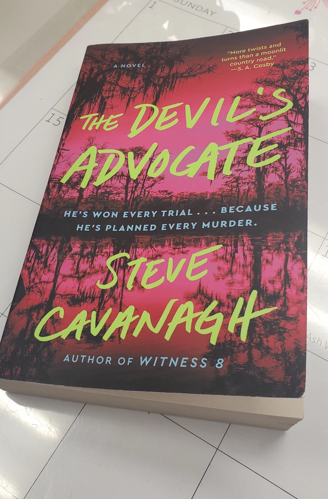Devil’s Advocate : A Novel by Steve Cavanagh (2025, Trade Paperback) ARC