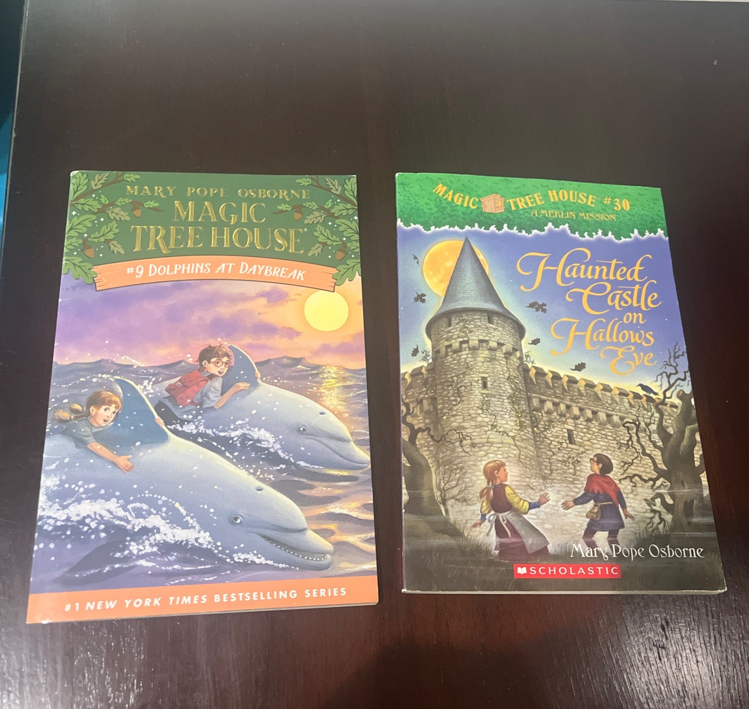 Magic Tree House – Dolphins At Daybreak & Haunted Castle Paperback Books Lot