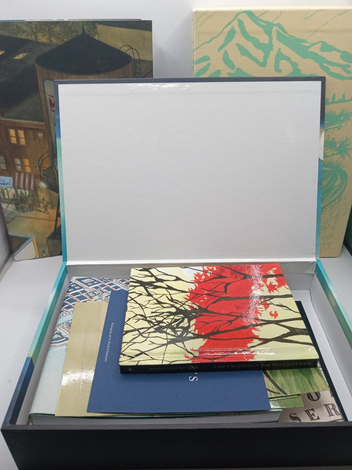 5 Book Lot Best of the McSweeney’s Box Set 2040 Literary Quarterly 58 & 63