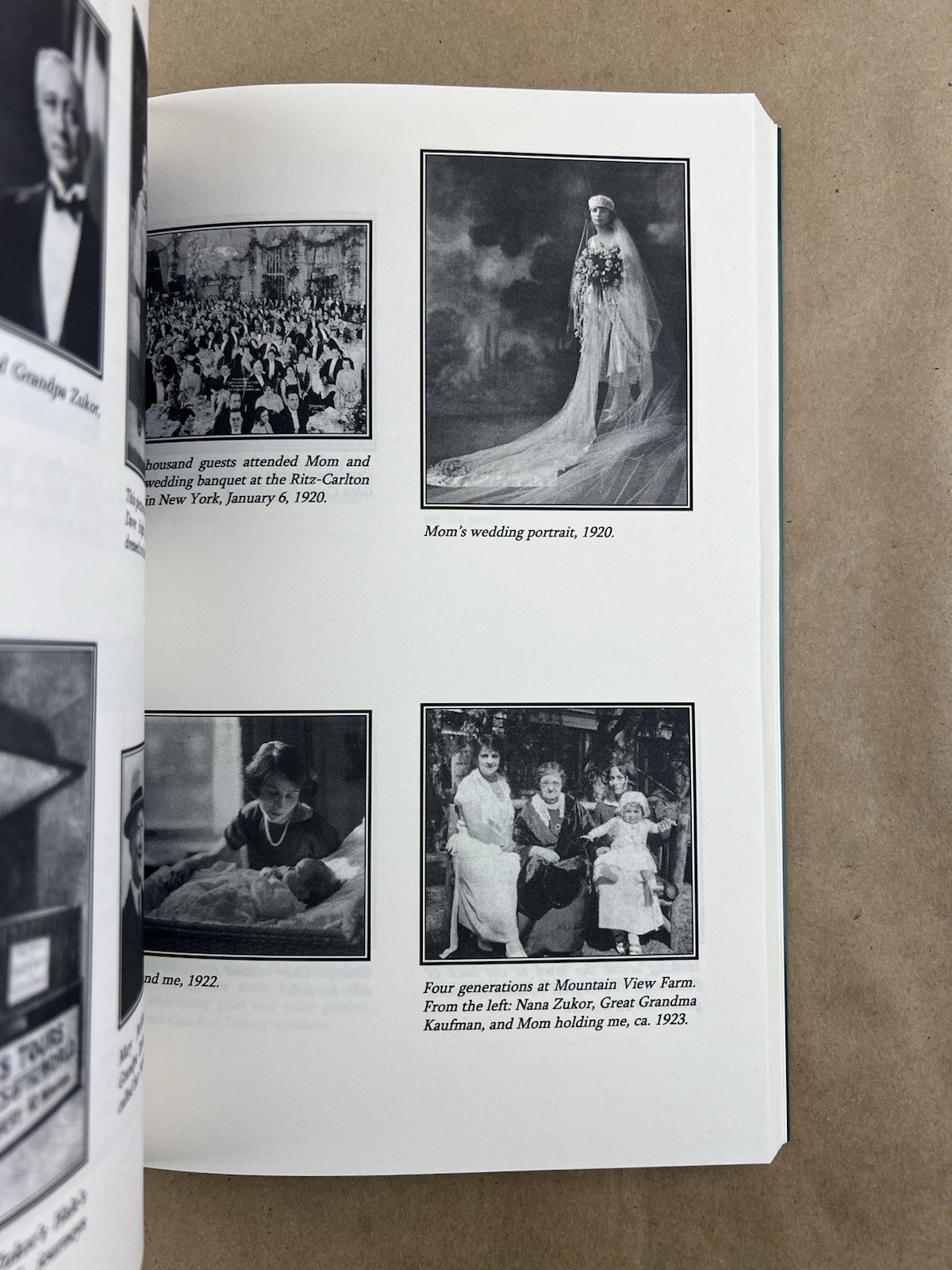 Out Of The Limelight: An Autobiography; Jane Loew, MGM, Paramount, Golden Age