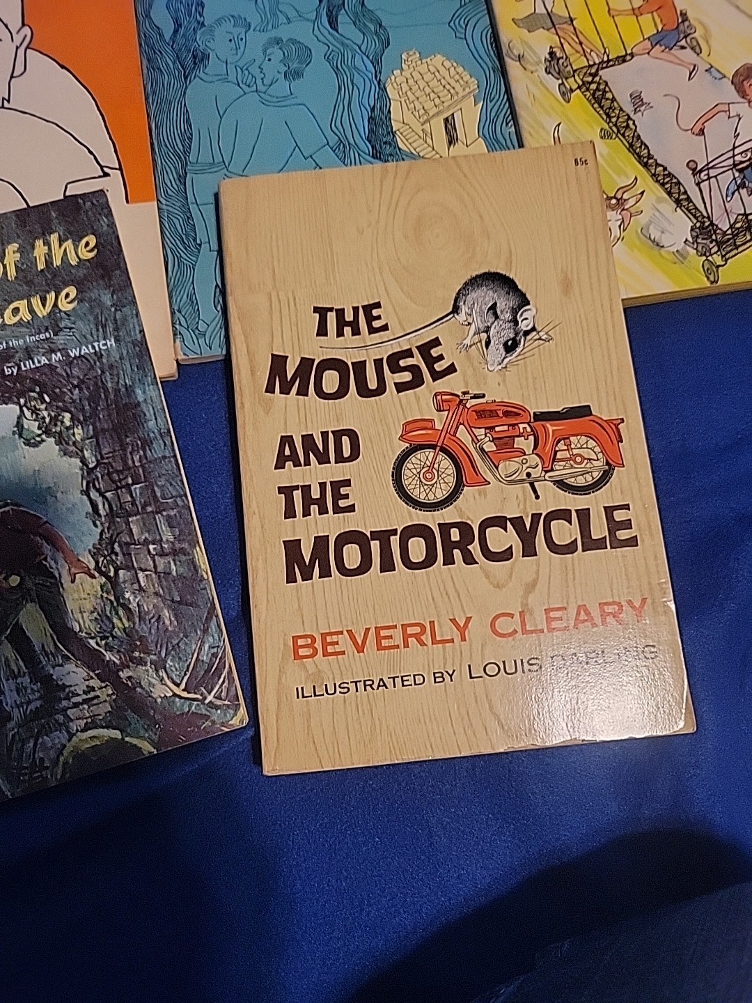 Vintage Young Readers Press ,scholastic And Others Pb Books