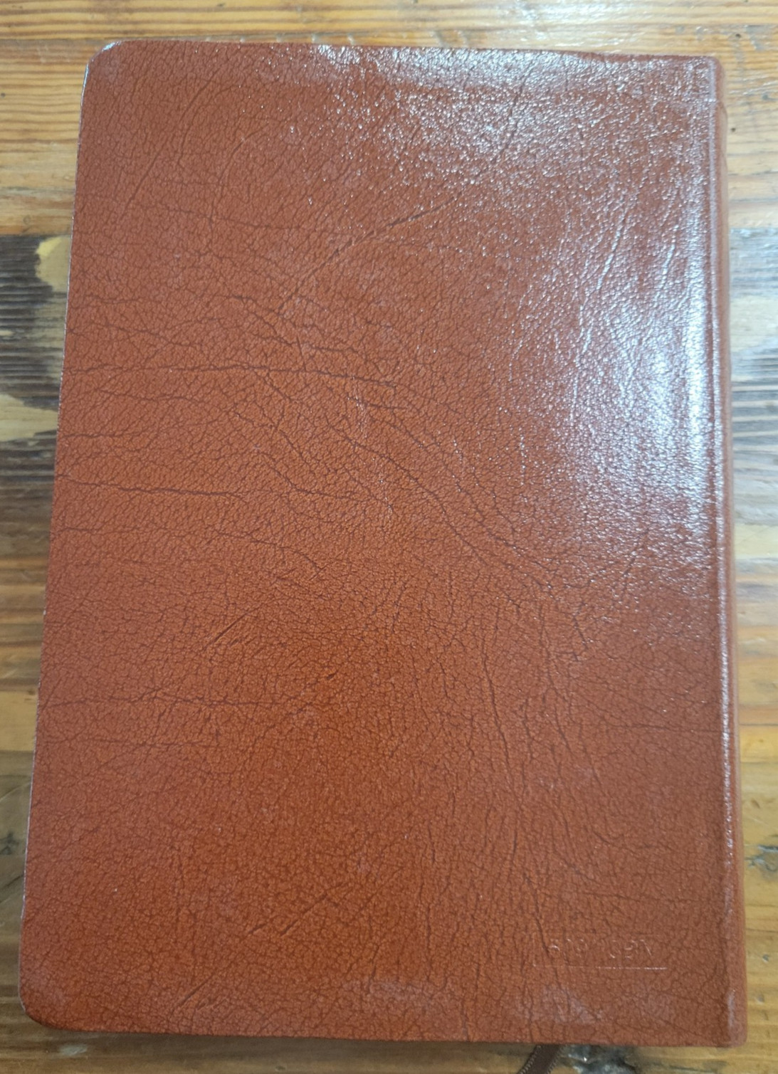 New American Bible NAB St Joseph Medium Size Edition 1992 Catholic Book Publish