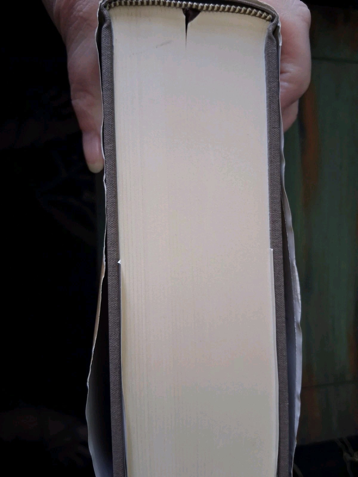 The Geneva Bible: 1560 Edition by Hendrickson Bibles – Hardcover – 12th printing