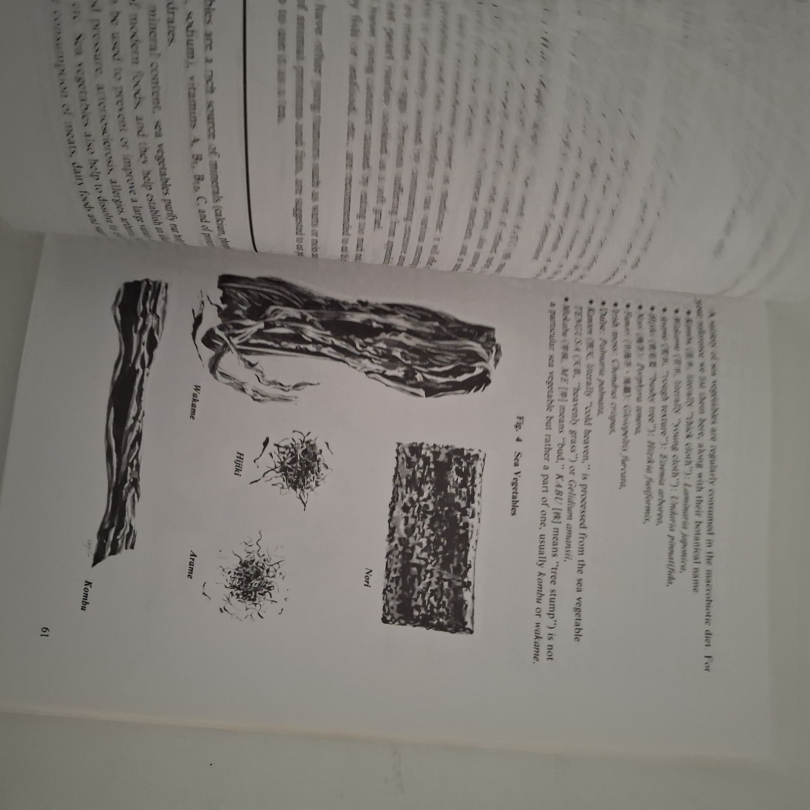Macrobiotic Home Remedies Book Michio Kushi Holistic Healing Naturopathy Food