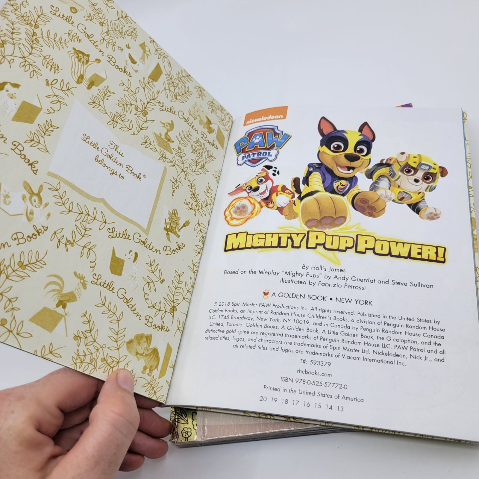 Little Golden Books Lot of 5 PAW PATROL Children’s Stories for Girls & Boys – GB