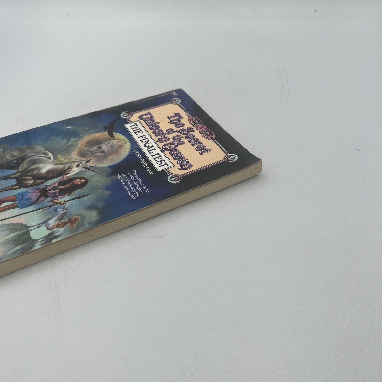 Final Test by Dory Perlman (1988, Trade Paperback)