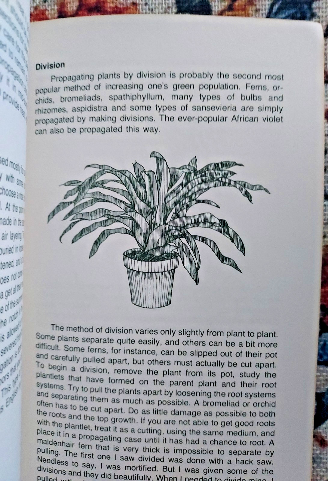 1976 Sex and the Single Plant Propagation Booklet Rex Mabe Potpourri Press