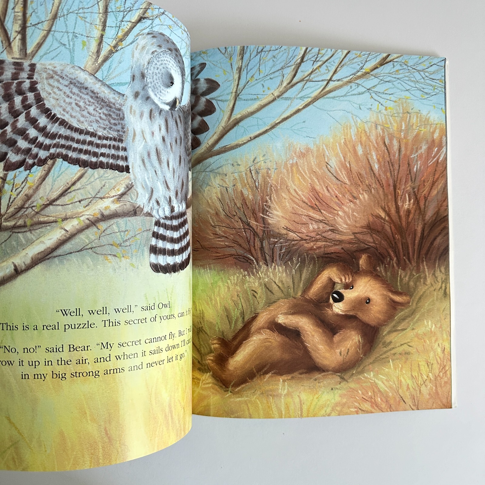Brown Bear’s Wonderful Secret book by Caroline Castle (Paperback)