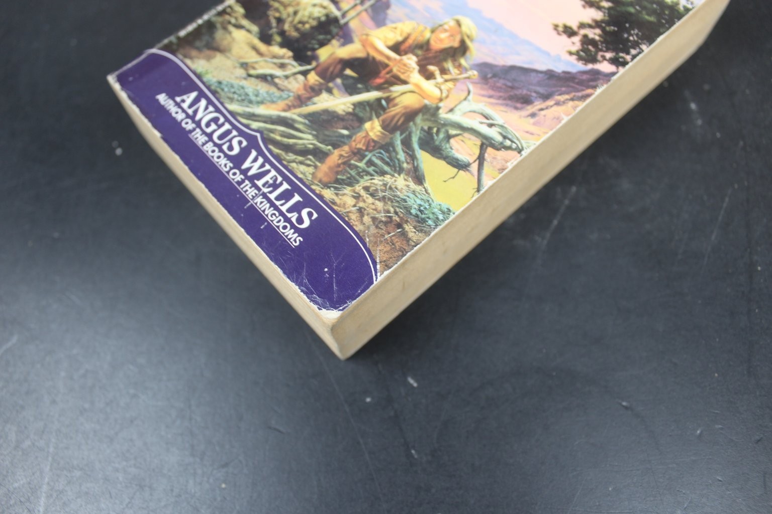 Forbidden Magic Angus Wells 1992 The Godwars Book 1 Epic Fantasy Bantam Spectra