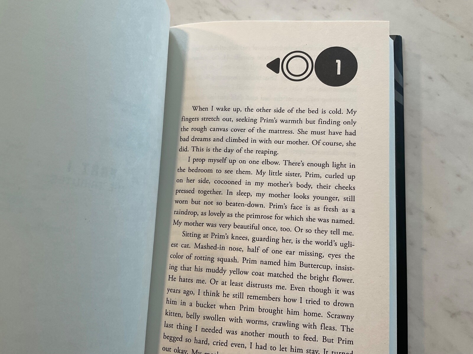 The Hunger Games Suzanne Collins 2008 First Edition 20th Gold Spine Print 2011