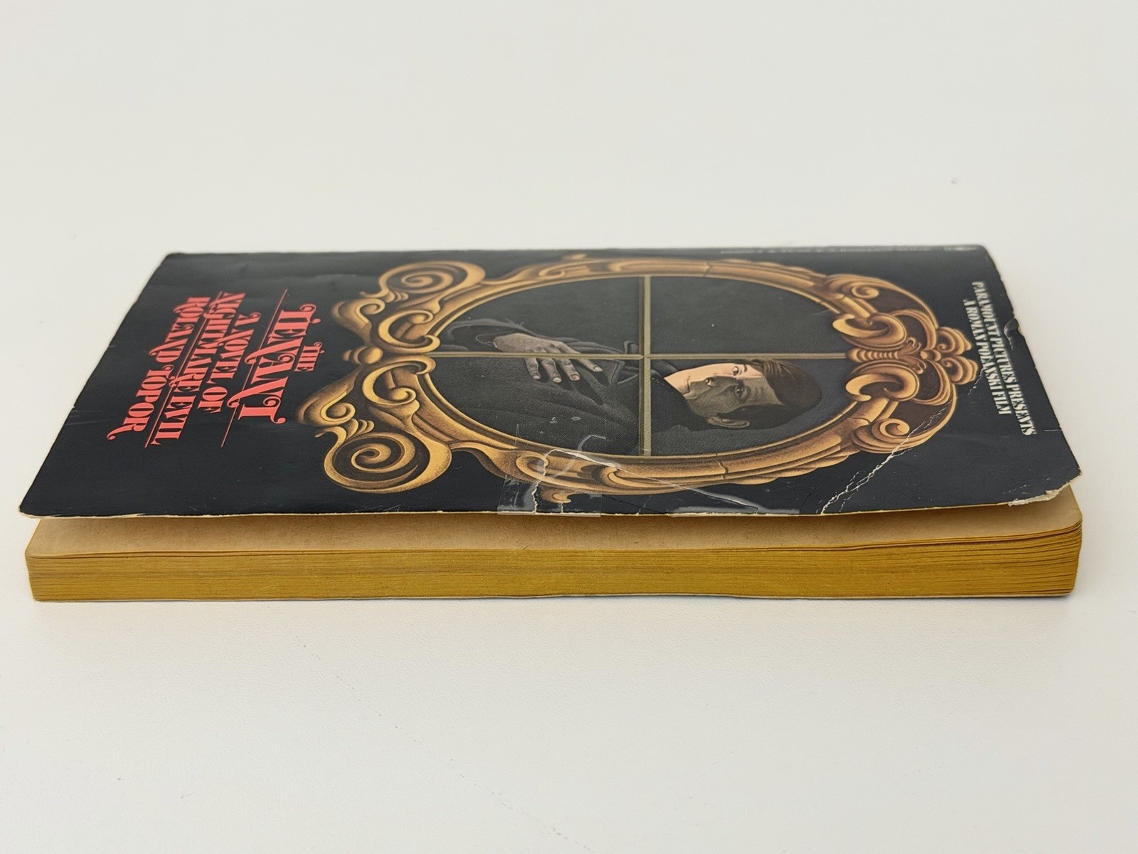 THE TENANT Roland Topor Bantam Books Vintage Paperback 1976 Roman Polanski