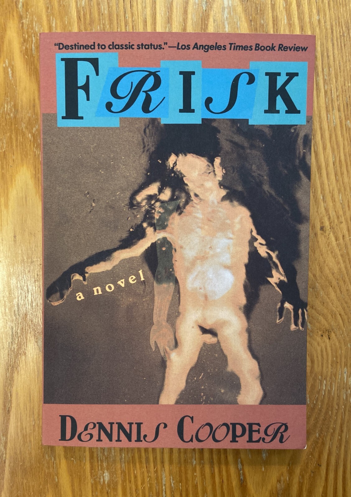 Frisk Dennis Cooper Bk 2 George Miles Cycle SC 1993 Gay Interest Like New