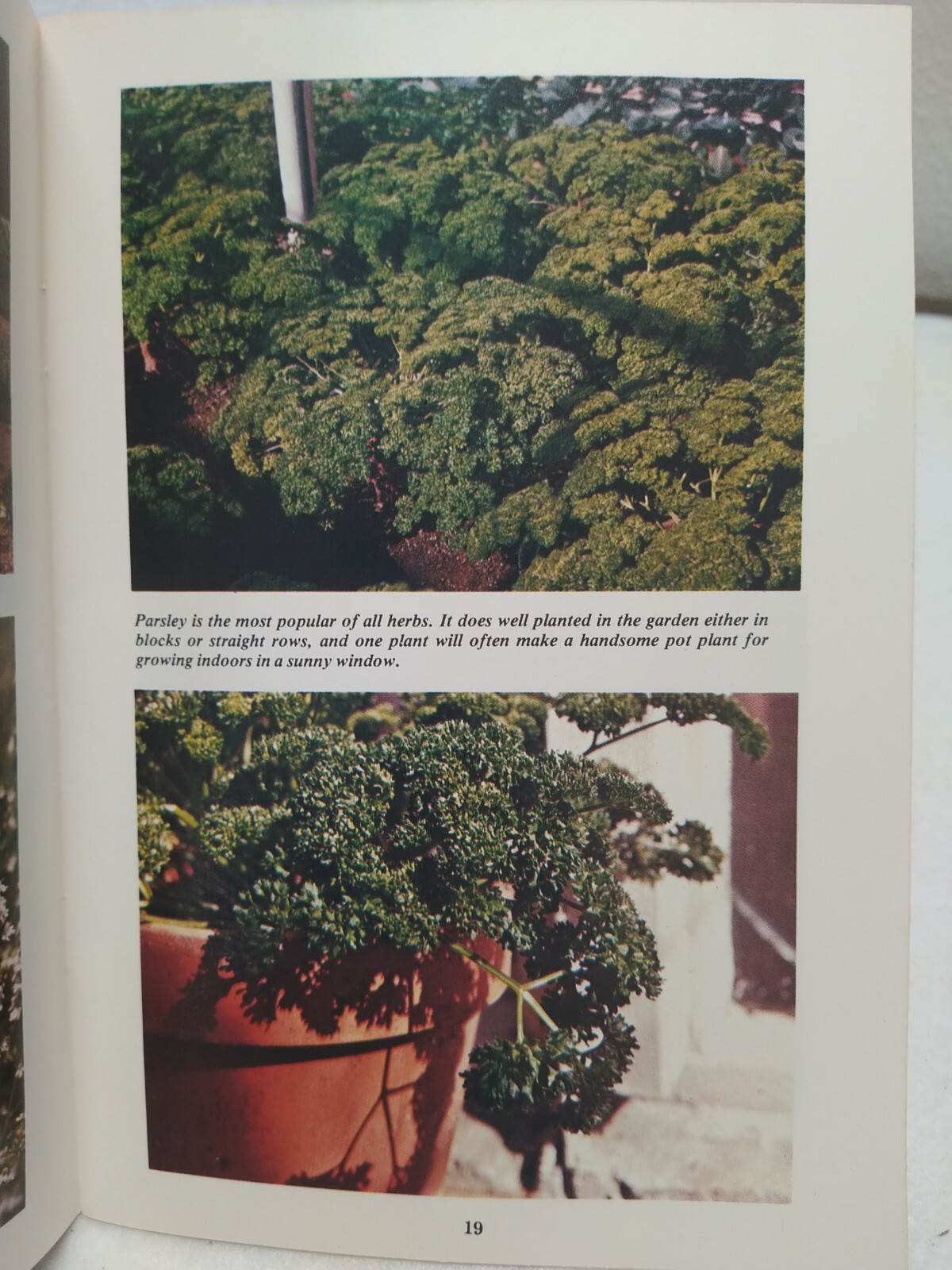 Herb Gardening Countryside Books 1976 Booklet