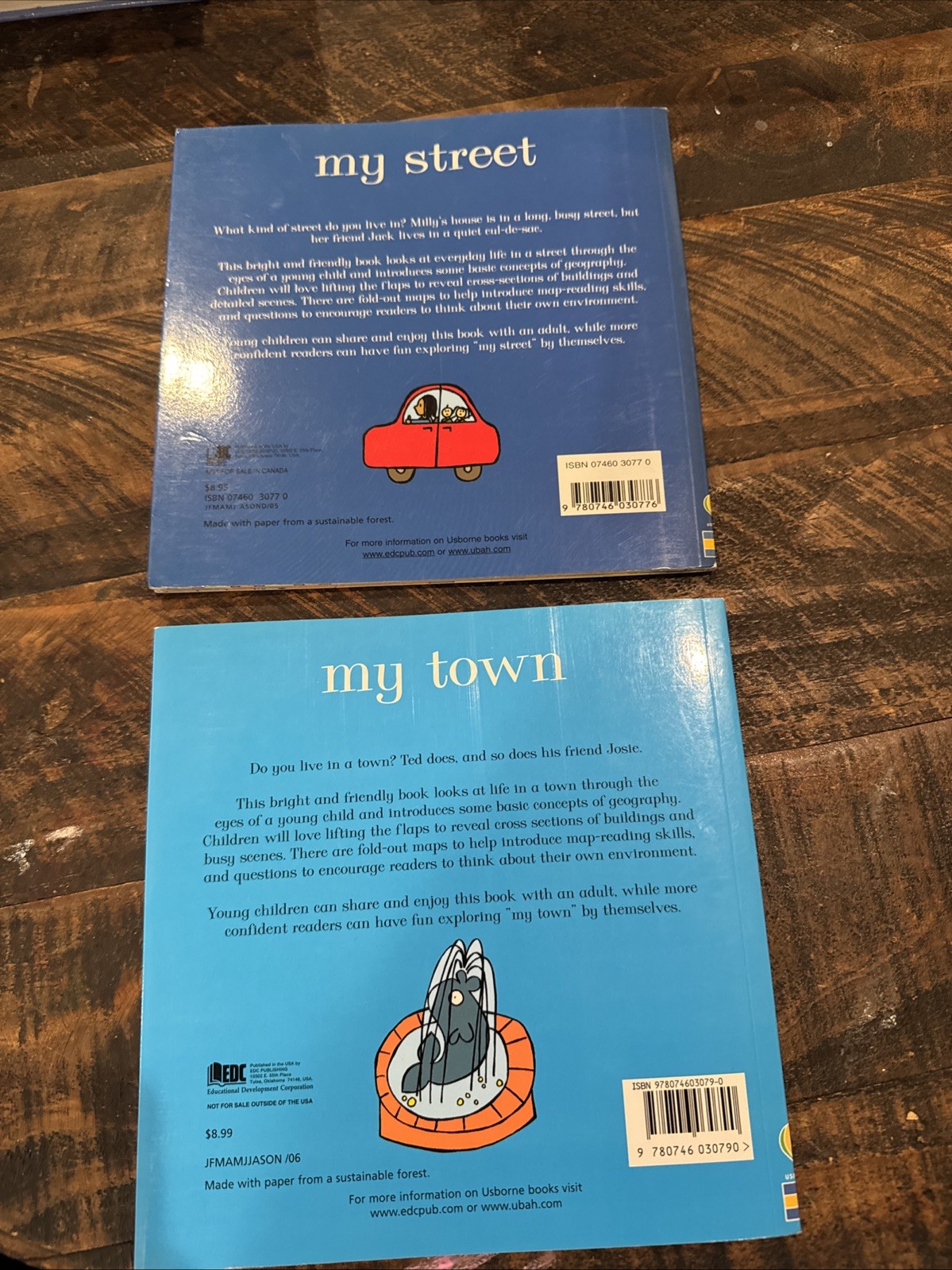 Lot of 2 My Town & My Street (Usborne Geography) by Treays, Flip Paperback Book