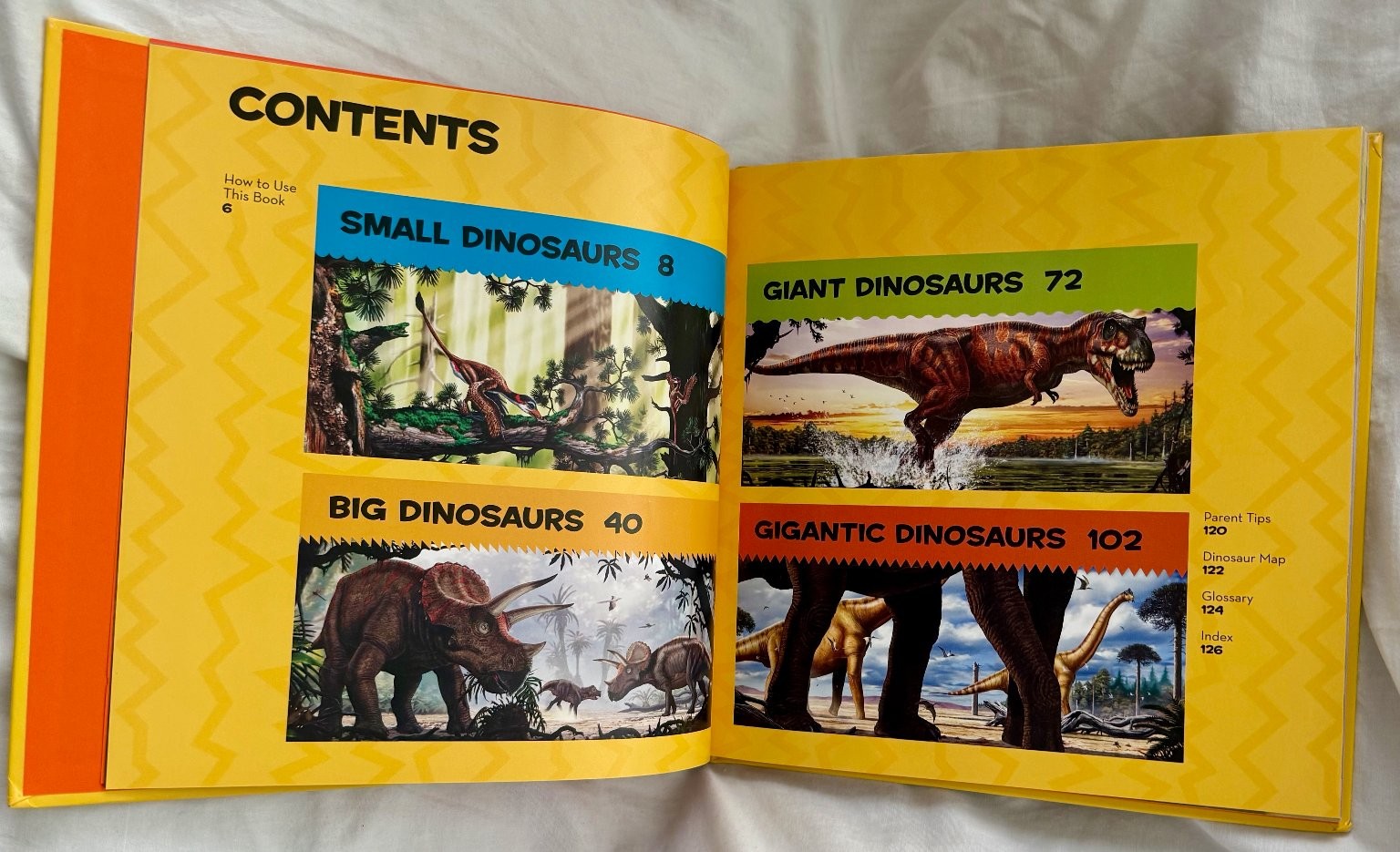 Lot 2 Dinosaur books National Geographic Kids Dino-Pedia and First Big Book