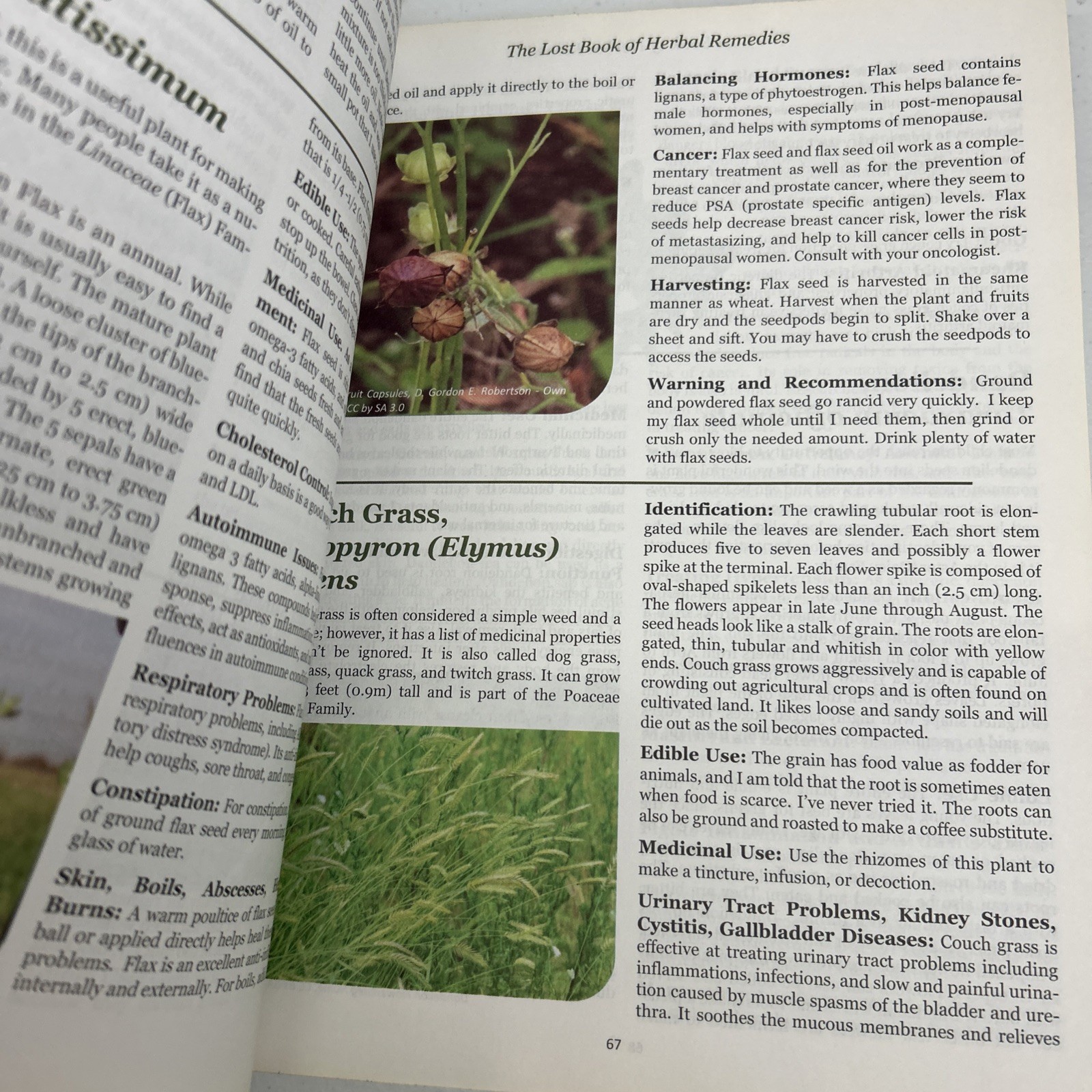 The Lost Book of Herbal Remedies by Davis & Apelian 2020 Paperback