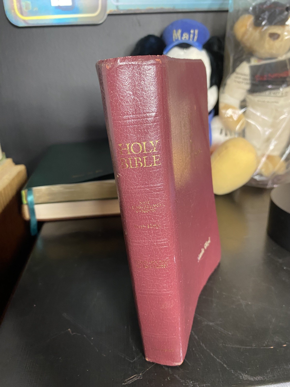 Niv 1984 5.5”x8” Red