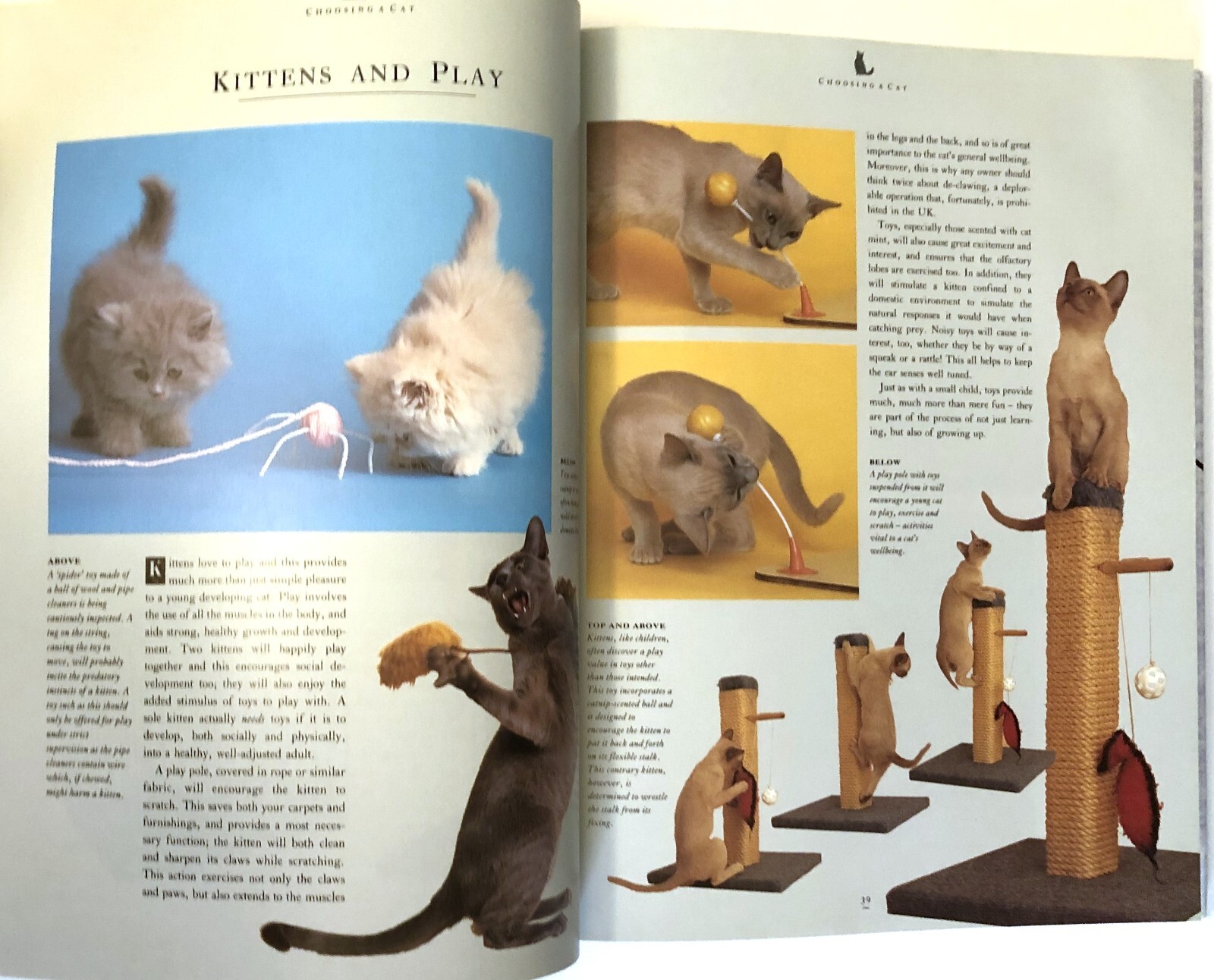 The Complete Book of The Cat Hard Cover Vintage 1992 Paddy Cutts