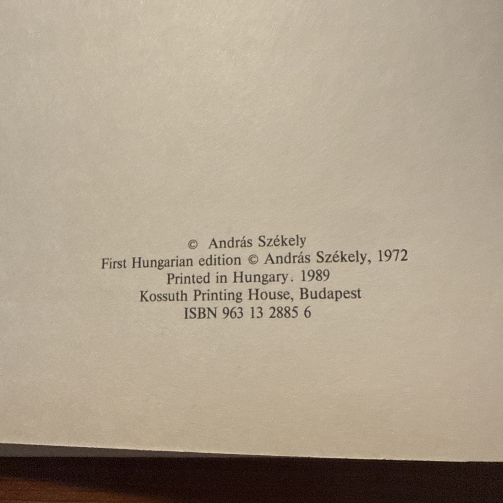 book art Spanish painting hardcover 1989 black cover like new second printing