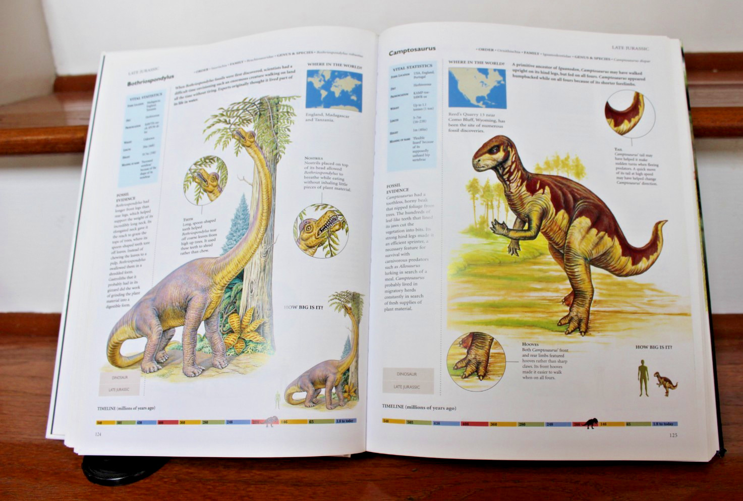 Dinosaurs & Other Prehistoric Animals Book 448 Pages, Amber Books – VGUC