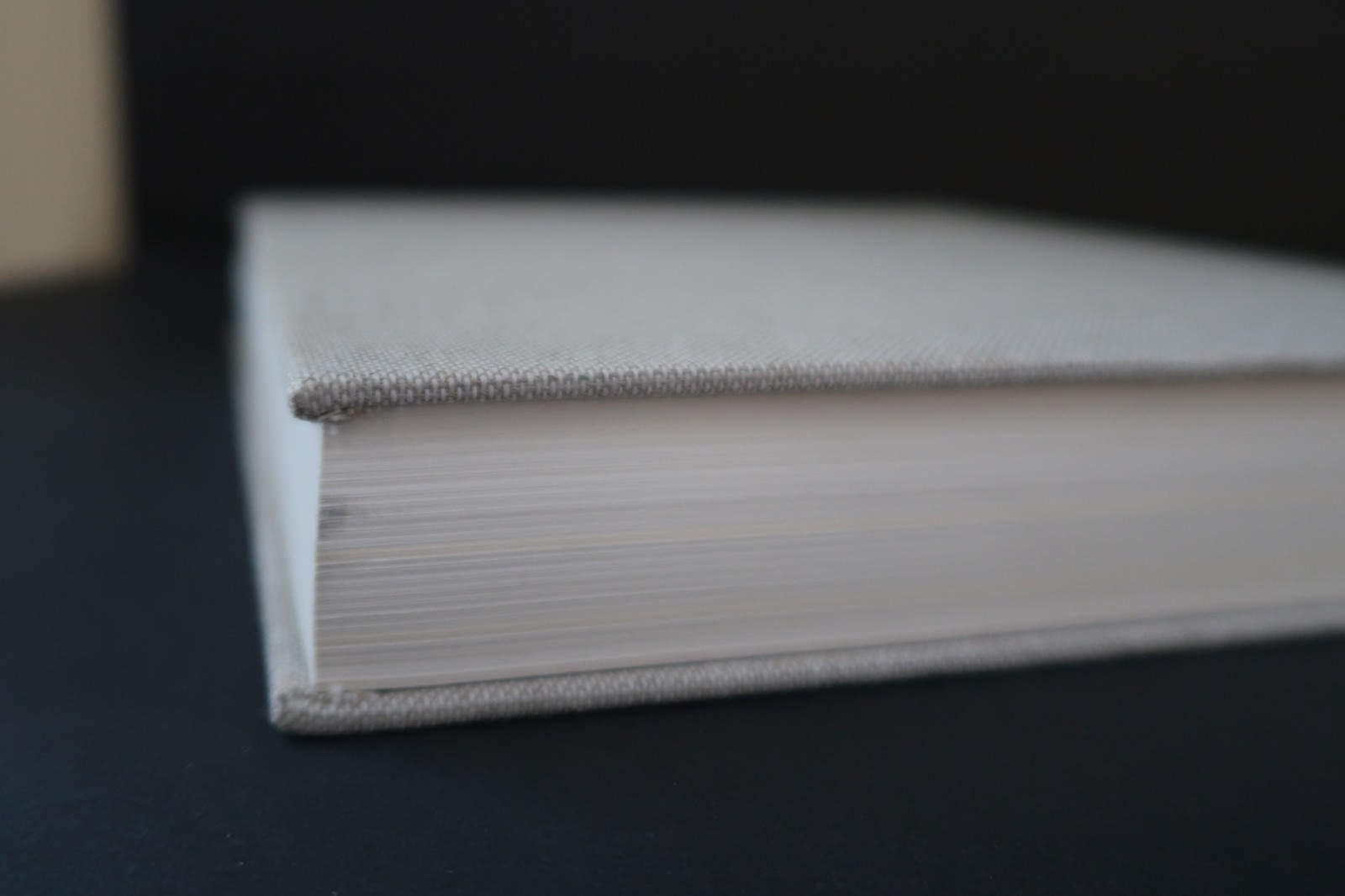 Gerhard Richter Overpainted Photographs Hardcover Book 1st Edition 2008 392pp