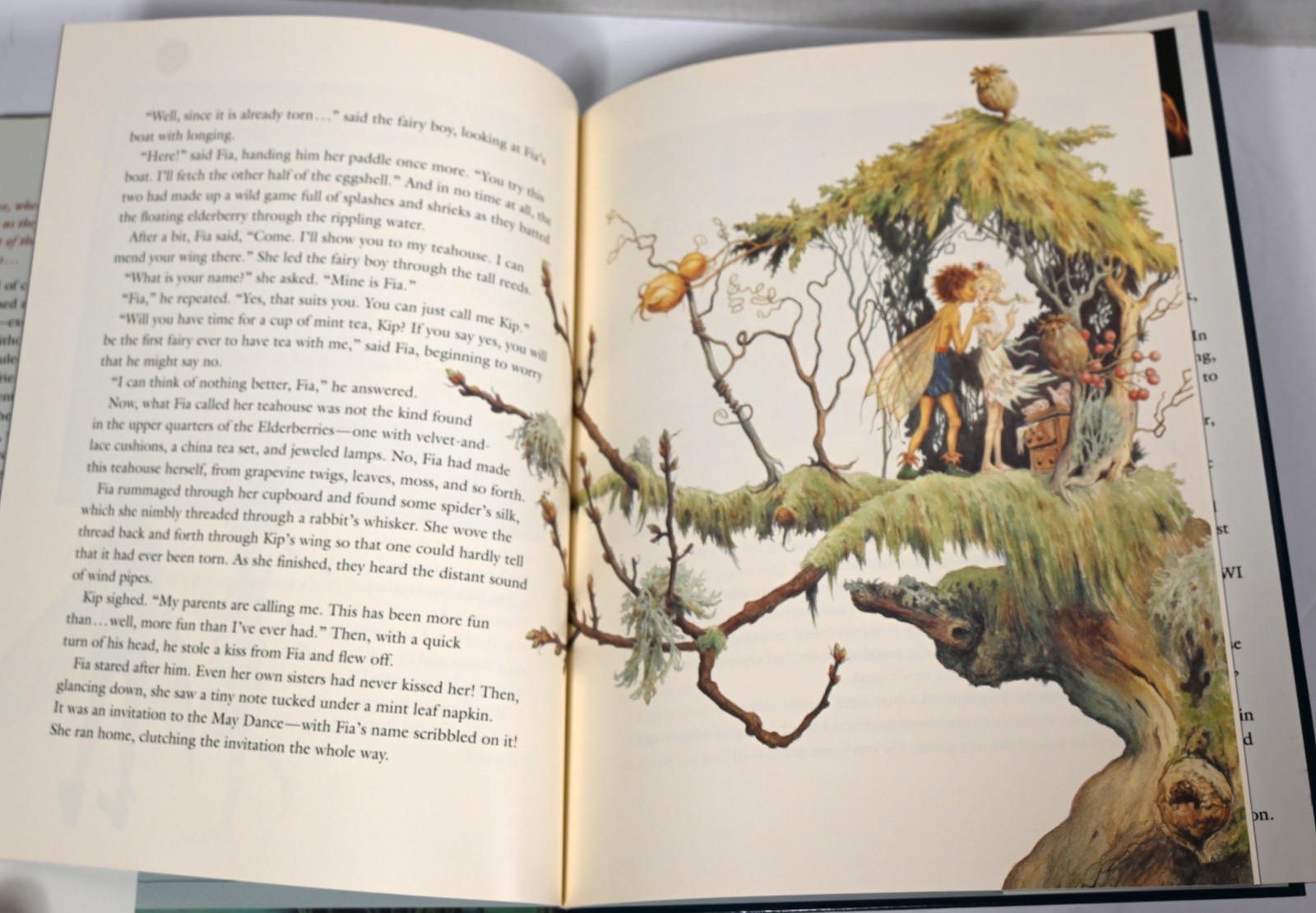 LOT 5 HC BOOKS on FAIRIES Faery Stone FANTASY ART ILLUSTRATIONS POEMS STORIES